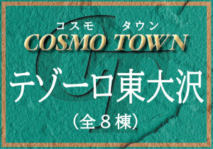 コスモタウンテゾーロ東大沢　A